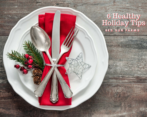 Six Healthy Holiday Tips